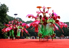 2013年南京國際梅花節演出照片